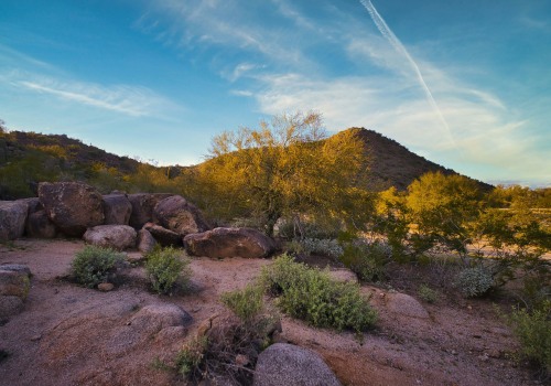 Exploring the Beauty of Nature and Landscapes through Professional Photography in Phoenix