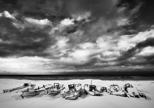 Creating Stunning Black and White Images