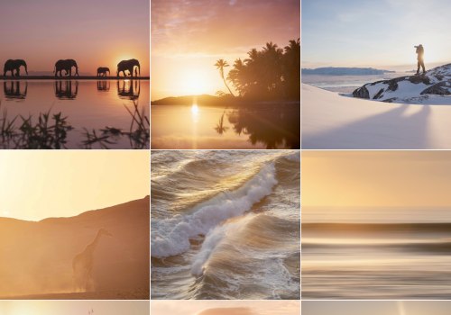 Mastering Natural Light for Stunning Photography in Phoenix